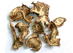 Angelicae pubescentis radix, DuHuo